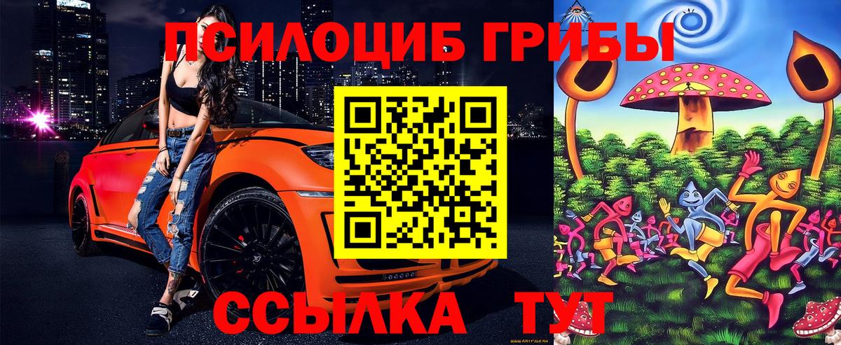 Псилоцибиновые грибы GOLDEN TEACHER  Вход с VPN  Бор 